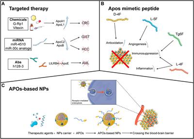 Apolipoproteins: New players in cancers